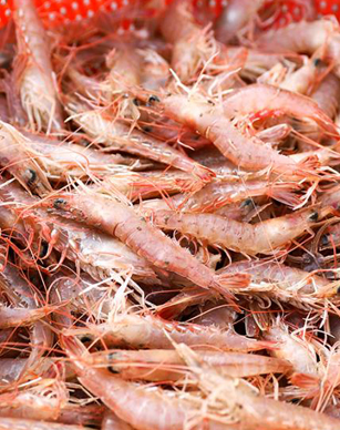 Frozen shrimps